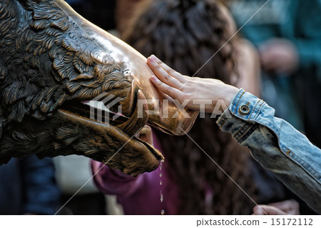 Hand touching fortune boar in Florence 15172112