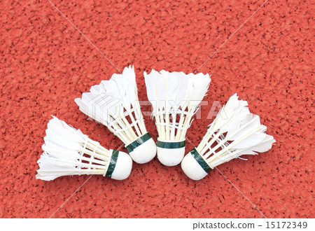 Shuttlecock Shuttlecock 15172349