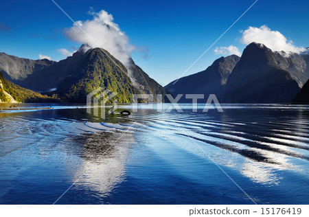 Milford Sound, New Zealand 15176419