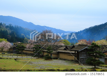 Asakura ruins in spring 15178651