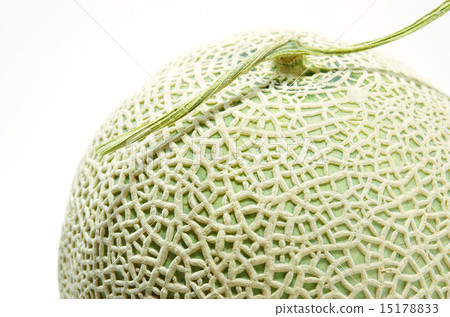 cantaloupe  15178833