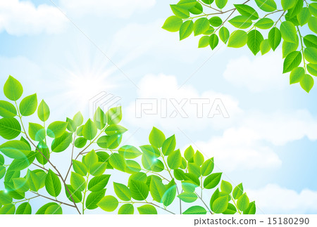 Sky and green 15180290