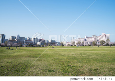 Large park Large park 15181075