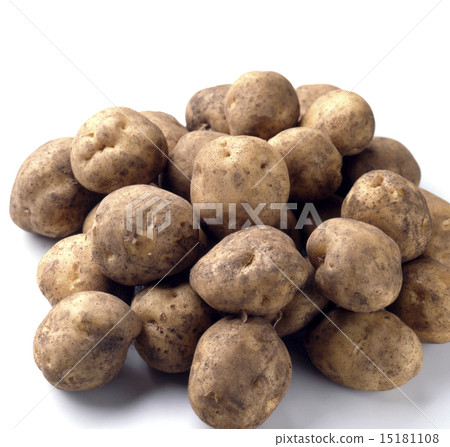 附有土壤的男爵 15181108