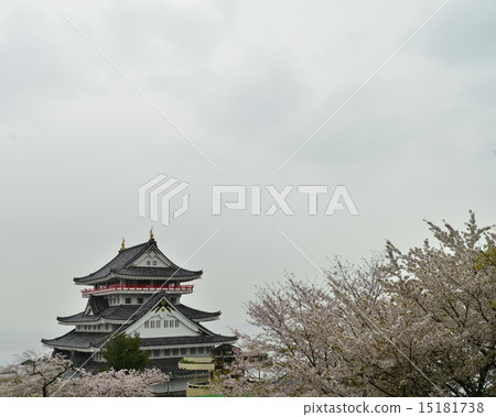 Cherry Blossom Atami Castle 3 15181738