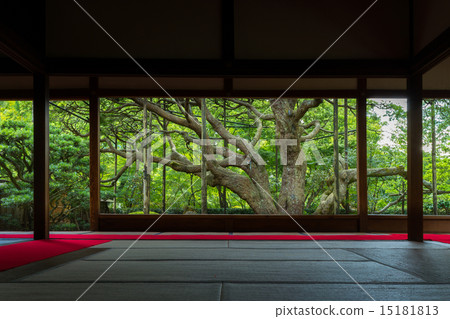 TakaraIzumiin 15181813