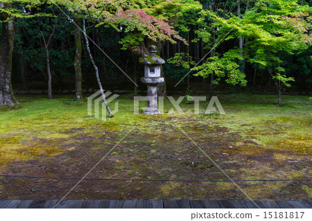 Fresh green of Daitokuji Takashiin 15181817