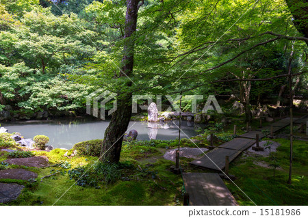 Fresh green of lotus temple 15181986