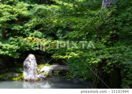 蓮花寺廟新綠色 蓮花寺廟新綠色 15181994