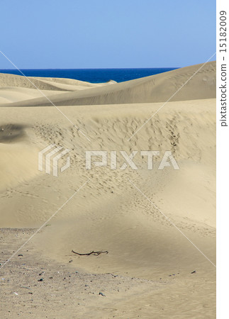 Spain. Gran Canaria island. Dunes of Maspalomas 15182009