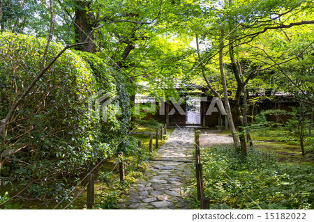 蓮花寺廟新綠色 蓮花寺廟新綠色 15182022