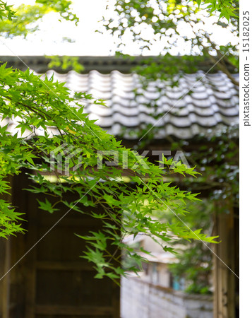 蓮花寺廟新綠色 蓮花寺廟新綠色 15182025