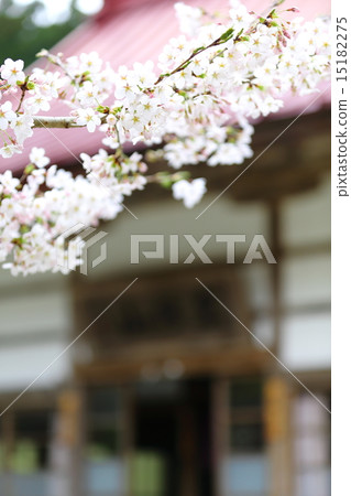 Fukuda-ji Temple in spring 15182275