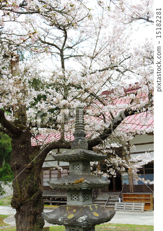 Fukuda-ji Temple in spring Fukuda-ji Temple in spring 15182281