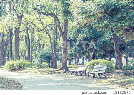 Scenery with bench Kiyosumi garden Scenery with bench Kiyosumi garden 15182675