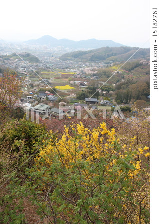 福島市花山山公園 15182761