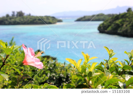 Ishigakijima Kawahira Bay and Hibiscus 15183108