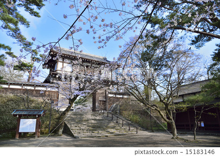 Cherry-blooming front gate of Akita-shi Chiaki Park 15183146