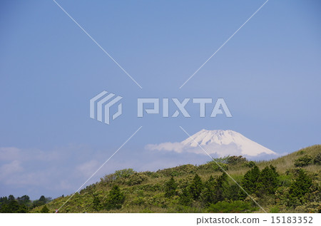 Mount Fuji  15183352