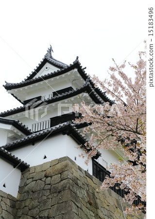 Shirakawa Komine Castle Mie Shirakawa Komine Castle Mie 15183496
