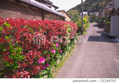 住宅街道快照 15184707