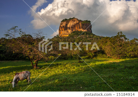 Sigiriya Lion Rock Fortress in Sri Lanka 15184914