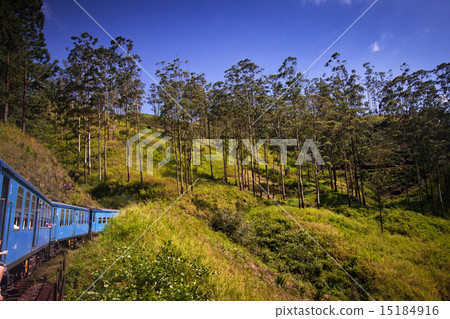 train from Nuwara Eliya to Kandy  15184916