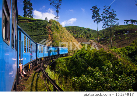 train from Nuwara Eliya to Kandy train from Nuwara Eliya to Kandy 15184917