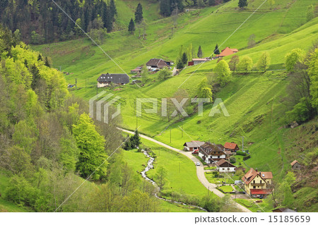 Valley in the black Forest, Germany 15185659