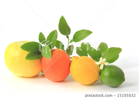 Citrus fruits 15185832