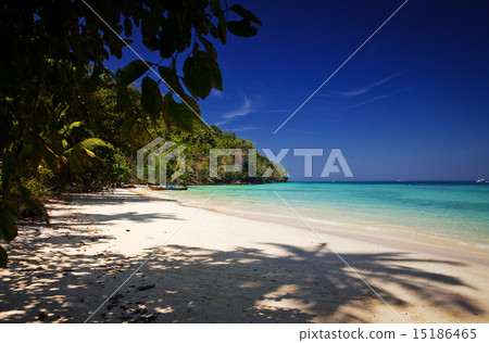 Untouched tropical beach, Thailand Untouched tropical beach, Thailand 15186465