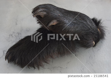 Bear's hand (food) Bear's hand (food) 15186541