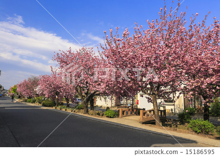 Double Shade of Shirai Inn 1 Double Shade of Shirai Inn 1 15186595