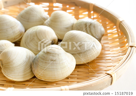 Honbinos shellfish 15187019