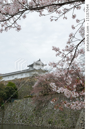 姬路城西野丸 15187044