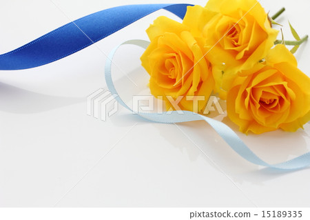 父親節玫瑰花 15189335