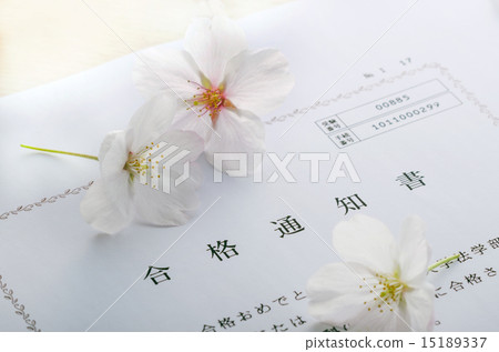 錄取通知書 15189337