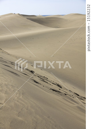 Spain. Gran Canaria island. Dunes of Maspalomas 15192232
