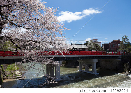 Hida Takayama Nakahashi Sakura 15192904