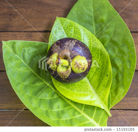 Single Mangostin and Fresh Green Leaf 15193105