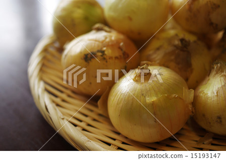 新的洋蔥切平托淺 新的洋蔥切平托淺 15193147