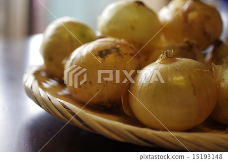 新的洋蔥切平托淺 15193148