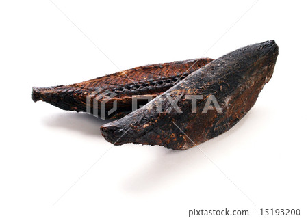 鰹魚粗騎士 15193200