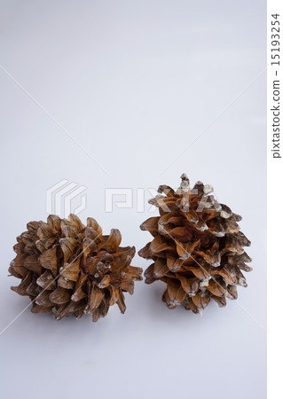 Ponge leaves of Korean Five Leaves 15193254