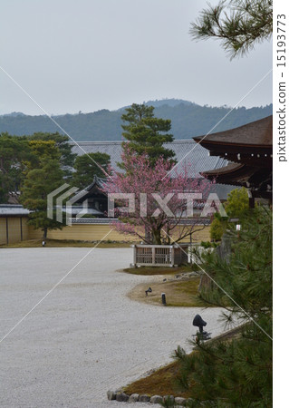 Old Saga Imperial Palace Daimonji 15193773