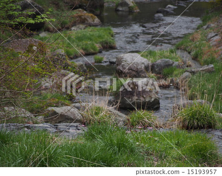 河川流（埼玉縣秩父區東集市村白石） 15193957