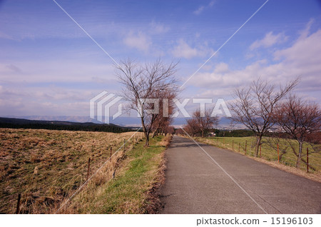 從阿蘇感應峽谷的道路 15196103