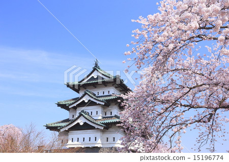 弘前城堡Tenso和Sakura 15196774
