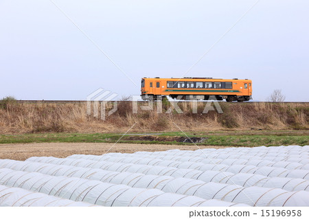 Tsugaru railway running in the Tsugaru plain 15196958