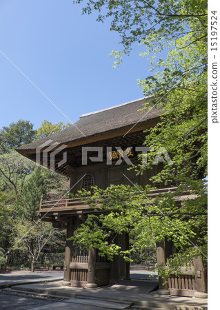 Hirin寺廟新鮮的綠色山門 15197524